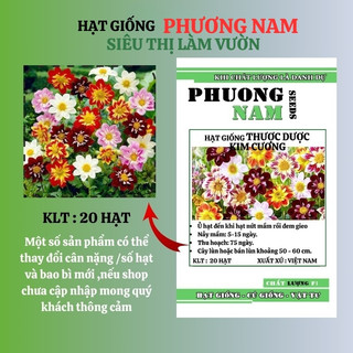 20 Hạt - Hạt Giống Hoa Thược Dược Kim Cương Mix Phương Nam