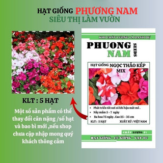 5 Hạt - Hạt Giống Hoa Ngọc Thảo Kép Mix F1 Phương Nam