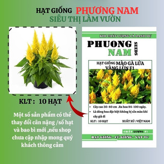 10 Hạt - Hạt Giống Hoa Mào Gà Lửa Vàng Lùn F1 Phương Nam