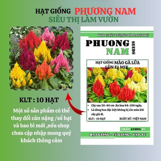 10 Hạt - Hạt Giống Hoa Mào Gà Lửa Lùn F1 Mix Phương Nam