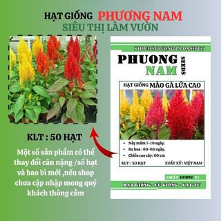 50 Hạt - Hạt Giống Hoa Mào Gà Lửa Op Cao Mix Phương Nam