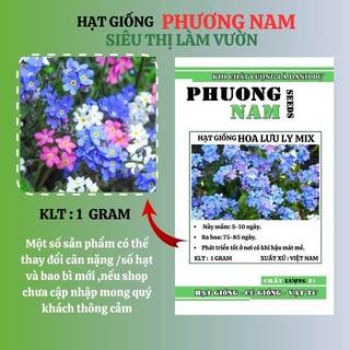 1 Gram - Hạt Giống Hoa Lưu Ly  - For Get Me Not Mix Phương Nam