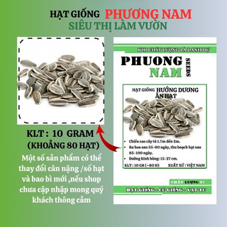 10 Gram ( ≈ 80 Hạt ) - Hạt Giống Hoa  Hướng Dương Ăn Hạt Phương Nam
