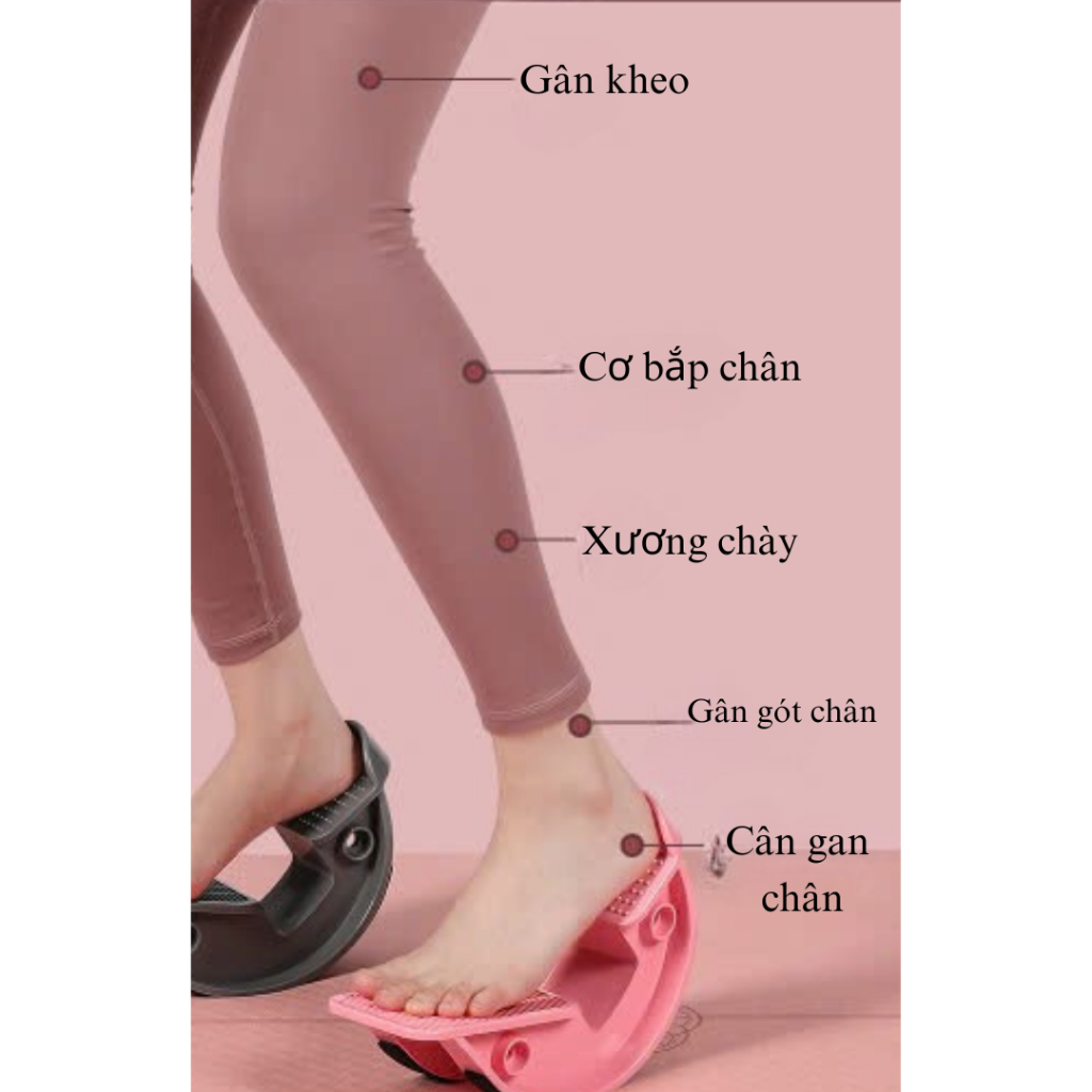 Con Lăn Tập Chân, Yoga, Massage Giãn Cơ Bắp - Dụng Cụ Kéo Dãn Tự Do Đa Chiều