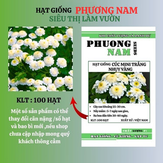 100 Hạt - Hạt Giống Hoa Cúc Mini Trắng Nhụy Vàng Phương Nam