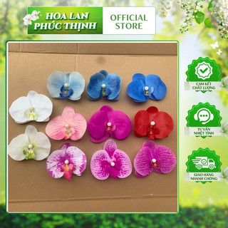 combo 2 kẹp tóc hoa lan ngọc cánh ướt -size nhỡ 9-10cm và size to 11cm loại 2 #cặp_tóc_hoa_lan_hồ_điệp #bông_lan_hồ_điệp