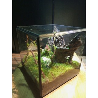 Terrarium " Mộng Sơn Thủy "  Terrarium Phong Thủy - Quà Tặng Doanh Nghiệp Sang Trọng và Ý nghĩa )