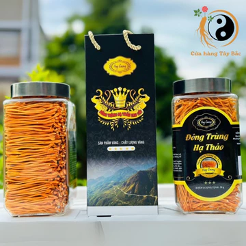 Nấm đông trùng hạ thảo sấy khô thăng hoa Huy Cương (50g) loại 1 sợi đẹp. Đông trùng hạ thảo ngâm rượu, mật ong, pha trà