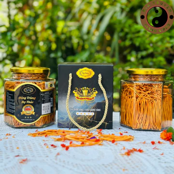Nấm đông trùng hạ thảo sấy khô thăng hoa Huy Cương (25g) loại 1 sợi đẹp. Đông trùng hạ thảo ngâm rượu, mật ong, pha trà