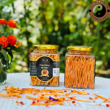 Nấm đông trùng hạ thảo sấy khô thăng hoa Huy Cương (20g) loại 1 sợi đẹp. Đông trùng hạ thảo ngâm rượu, mật ong, pha trà