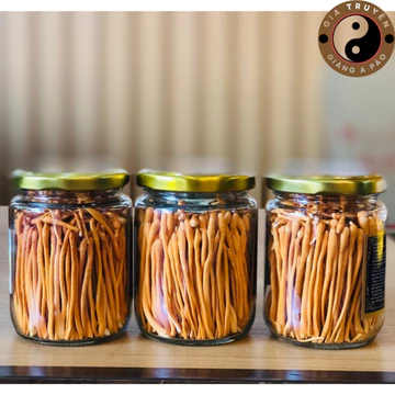 Nấm đông trùng hạ thảo sấy khô thăng hoa Huy Cương (10g) loại 1 sợi đẹp. Đông trùng hạ thảo ngâm rượu, mật ong, pha trà
