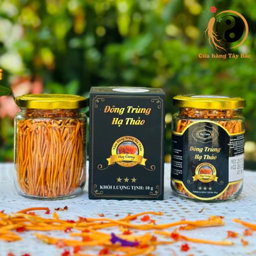 Nấm đông trùng hạ thảo sấy khô thăng hoa Huy Cương (10g) loại 1 sợi đẹp. Đông trùng hạ thảo ngâm rượu, mật ong, pha trà