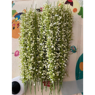 vòng hoa cỏ BaBy đội đầu chụp kỉ yếu
