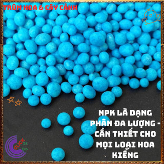 Phân bón NPK 30-10-10 chuyên dùng cho hoa và cây cảnh 🔷 Siêu Thị Hoa