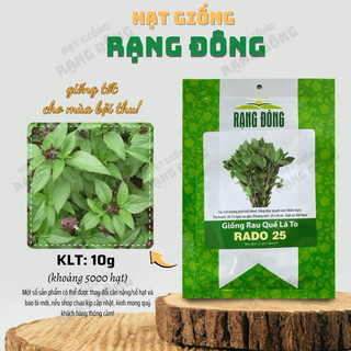 Hạt giống Rau Húng Quế Lá To RADO 25 - Gói 10g