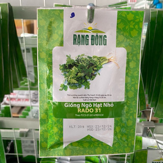 Hạt giống Ngò Rí Hạt Nhỏ Rado 31 rau gia vị - Gói 20g