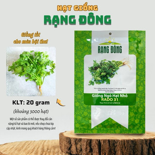 Hạt giống Ngò Rí Hạt Nhỏ Rado 31 rau gia vị - Gói 20g