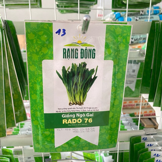 Hạt giống Ngò Gai Rado 76 rau gia vị - Gói 10g