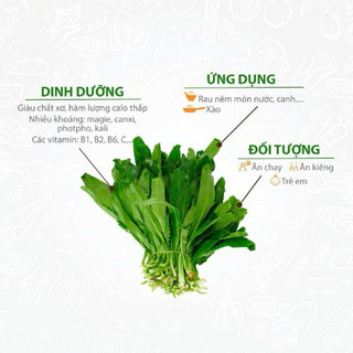 Hạt giống Ngò Gai Rado 76 rau gia vị - Gói 10g