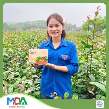 trà lá sen, gạo lứt xạ đen MDA (100 túi lọc) hỗ trợ giảm cân, giảm mơ máu