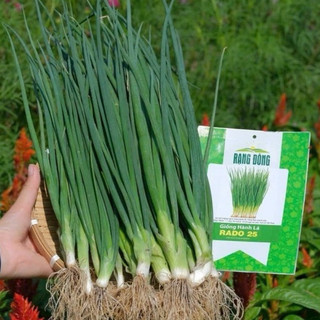 Hạt giống Hành Lá Rado 25 rau gia vị - Gói 2,5g