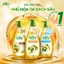 Dầu Tắm Sữa Tắm Oliv / Oliu 3X Dưỡng Ẩm 650ML Giúp Nhũ Hóa Và Làm Sạch Da + Tặng Dầu Gội CK NN Rụng 250mL