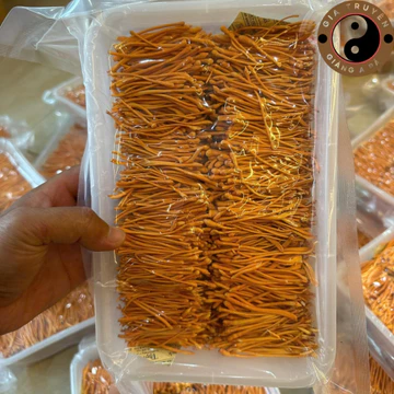 Nấm đông trùng hạ thảo sấy khô thăng hoa Huy Cương (100g) loại 1 sợi đẹp. Đông trùng hạ thảo ngâm rượu, mật ong, pha trà