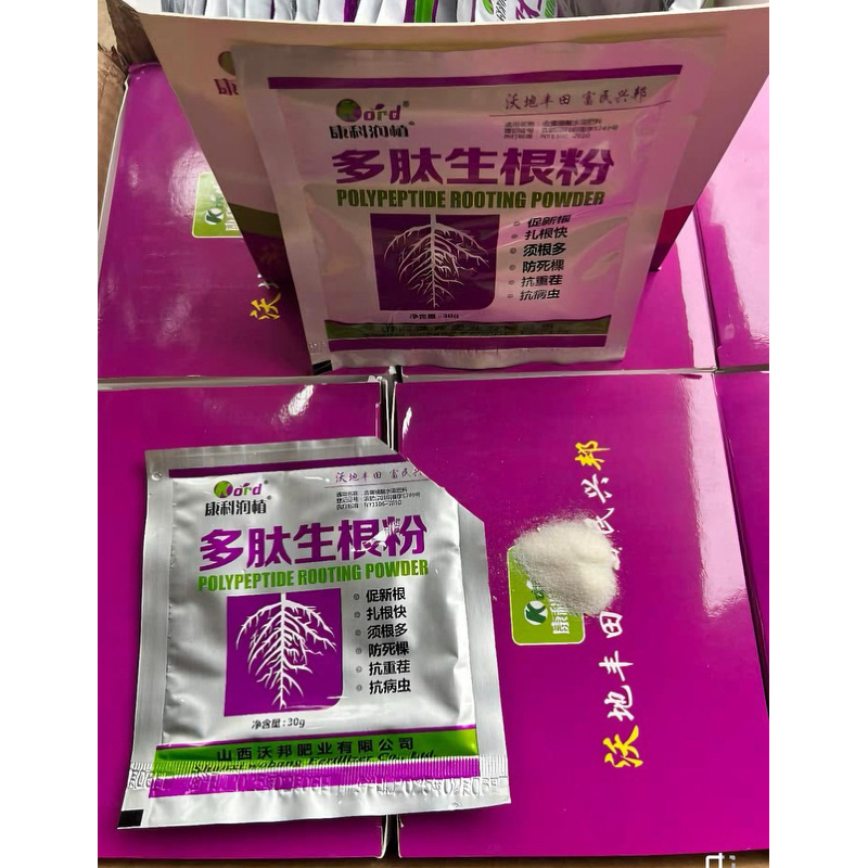 Gói kích rễ , giâm ,chiết cành POLYPEPTIDE ROOTING POWDER•30GR | Shopee ...