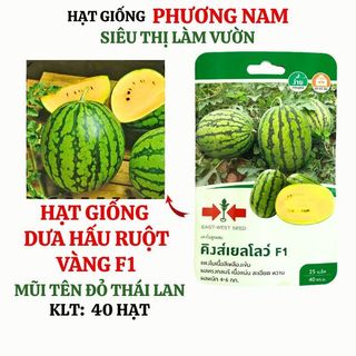 10 Hạt - Hạt Giống Dưa Hấu Ruột Vàng Phương Nam