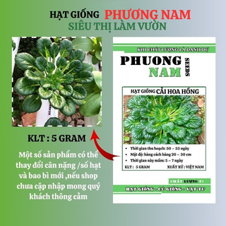 5 Gram - Hạt Giống Cải Hoa Hồng Phương Nam