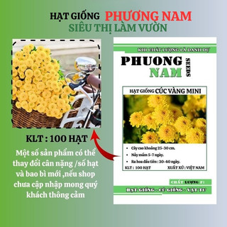 100 Hạt - Hạt Giống Hoa Cúc Mini Vàng Phương Nam