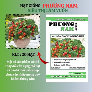 20 Hạt - Hạt Giống Cà Chua Bi Đỏ Lùn Phương Nam