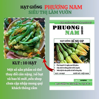 10 Hạt - Hạt Giống Bí Nụ Phương Nam