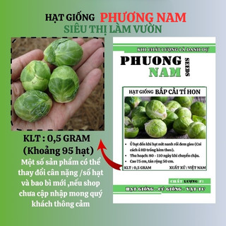 0,5 Gram - Hạt Giống Bắp Cải Tí Hon Phương Nam