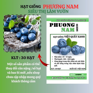 30 Hạt - Hạt Giống Việt Quất Xanh Phương Nam