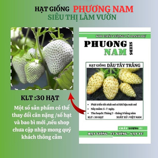 30 Hạt - Hạt Giống Dâu Tây Trắng Phương Nam