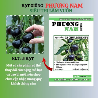 5 Hạt - Hạt Giống Cà Chua Bi Đen F1 Phương