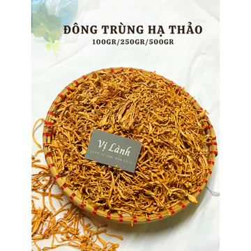 Đông trùng hạ thảo - Vị Lành - trà đông trùng bồi bổ sức khỏe, nấu lẩu, canh, hầm gà thơm ngon