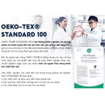 COMBO 2 áo ngực nữ cao cấp mút mỏng không gọng, vải sợi tre bamboo, bản lưng to gom gọn, chuẩn OEKO-TEX | CORÈLE 30138A — ảnh 8