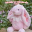 Gấu Bông Thỏ Bunny Thêu Tai Theo Yêu Cầu - Thú nhồi bông quà tặng bé, sinh nhật, người yêu