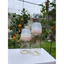 Bình sữa Pigeon Softouch PPSU Bottle 170ml/270ml cổ rộng