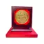 Tranh Đồng Vàng Rồng Phú Quý , Mạ Vàng 24K ( Đường Kính 23cm ) - Cửu Diệu Thiên - RV005