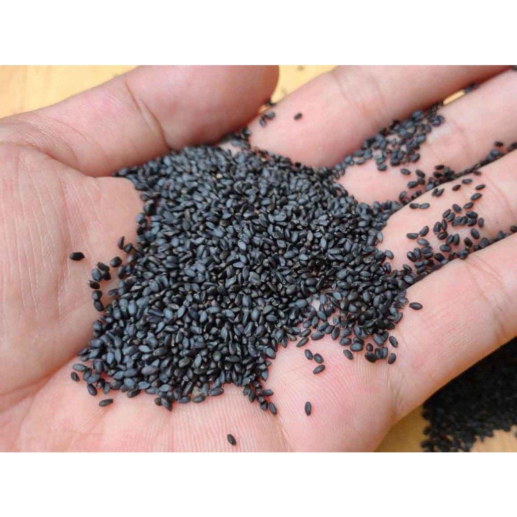 [SỈ] 10KG Hạt É Hữu Cơ _ Hạt É giá sỉ _ Hạt é organic _ hạt é giá rẻ _ nông sản giá sỉ _ nongsangiasi