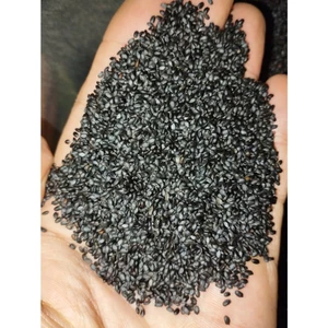10KG Hạt É Hữu Cơ _ Hạt É giá sỉ _ Hạt é organic _ hạt é giá rẻ _ nông sản giá sỉ _ nongsangiasi