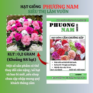 0,2 Gram - Hạt Giống Hoa Cẩm Chướng Kép Mix Phương Nam