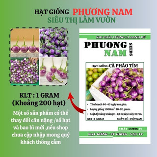 1 Gram - Hạt Giống Cà Pháo Tím Phương Nam