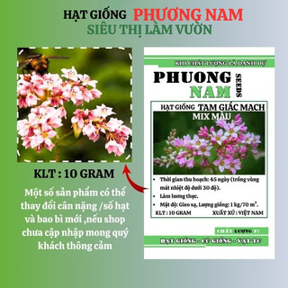 10 Gram - Hạt Giống Hoa Tam Giác Mạch Phương Nam