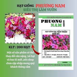200 Hạt - Hạt Giống Hoa Dạ Yến Thảo Đơn Rũ Mix Phương Nam