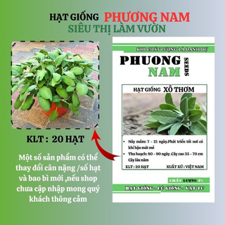 20 Hạt - Hạt Giống Xô Thơm Phương Nam