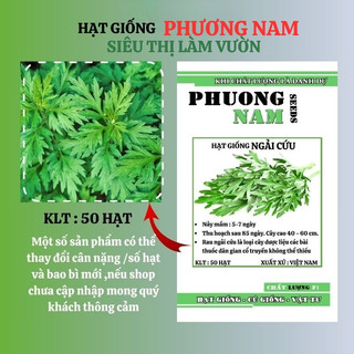 50 Hạt - Hạt Giống Rau Ngải Cứu Phương Nam